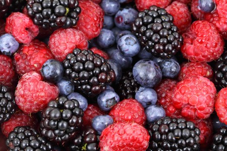 AIP Diet berries